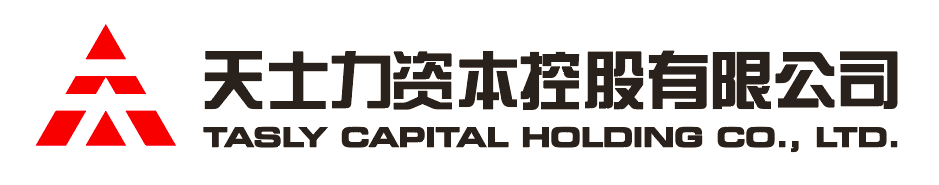 PP视讯资本控股有限公司